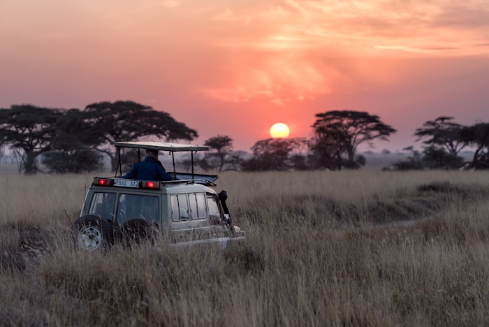Maasai Mara Great Migration